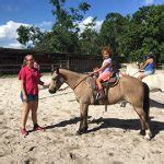 Spun Gold Equestrian Center in Davie, FL 33314 .